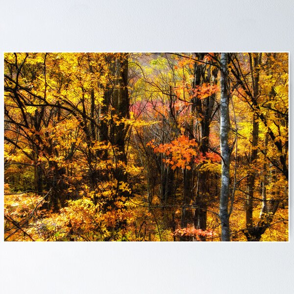 Item preview, Autumn Leaves designed and sold by Jane Best.