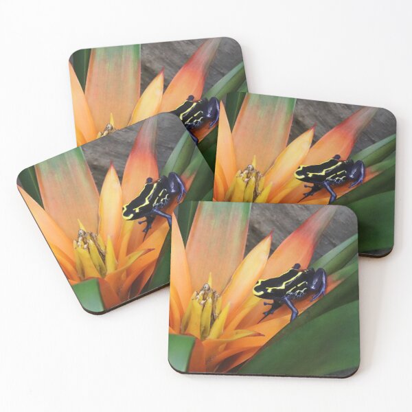 Item preview, Dyeing poison dart frog designed and sold by rootedrender.
