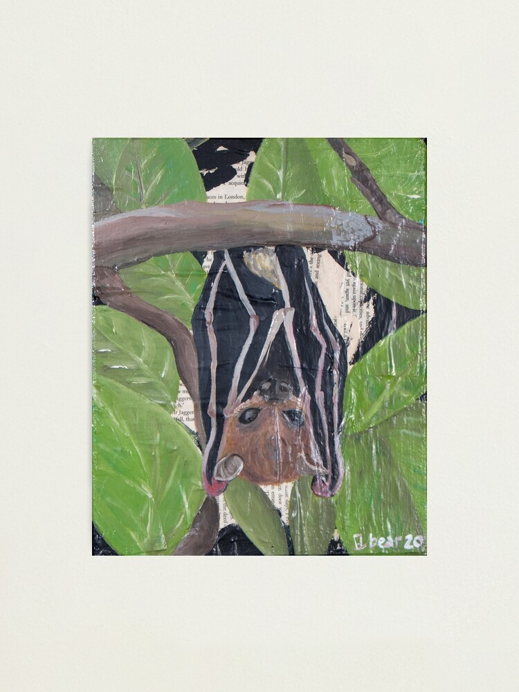 Alternate view of Chapter 13 Photographic Print