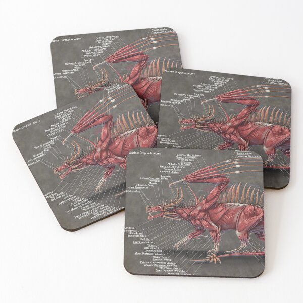 Item preview, Western Dragon Muscle Anatomy designed and sold by Thedragonofdoom.