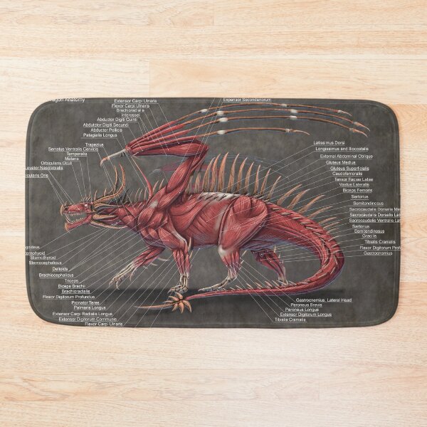 Item preview, Western Dragon Muscle Anatomy designed and sold by Thedragonofdoom.