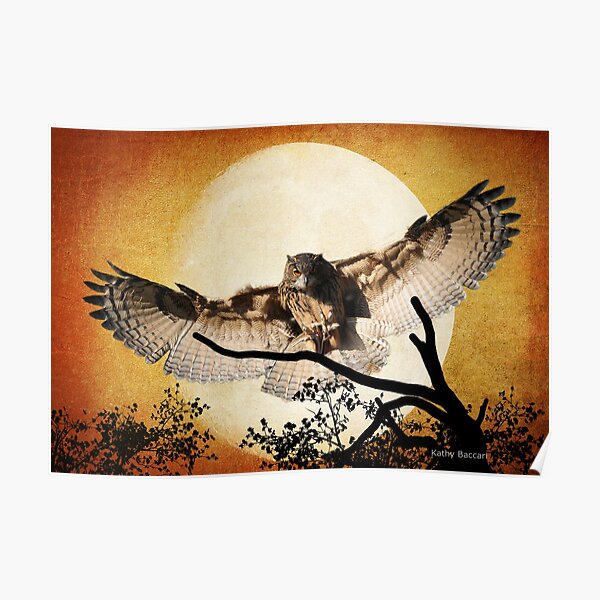 Eagle Owl And The Moon Poster