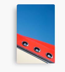 Liner Canvas Print