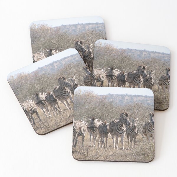 Item preview, Wild Zebras Herd Kruger National Park, South Africa designed and sold by worldways.