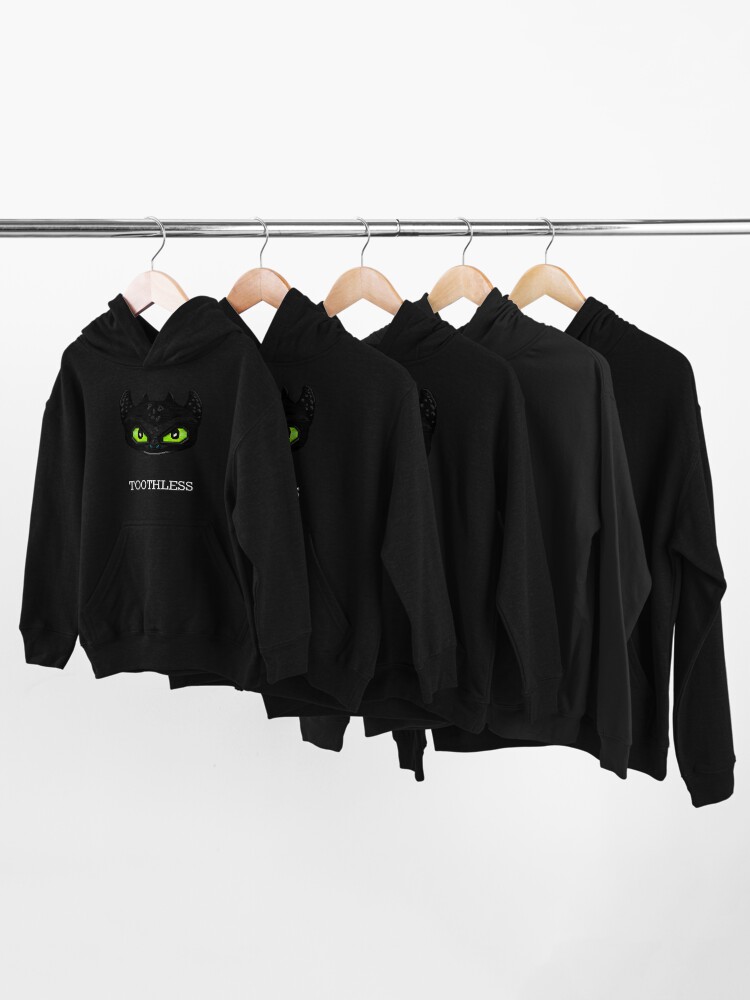 Toothless sale hoodie youth