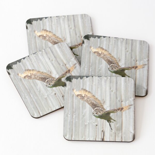 Item preview, Owl in flight designed and sold by amdavies.