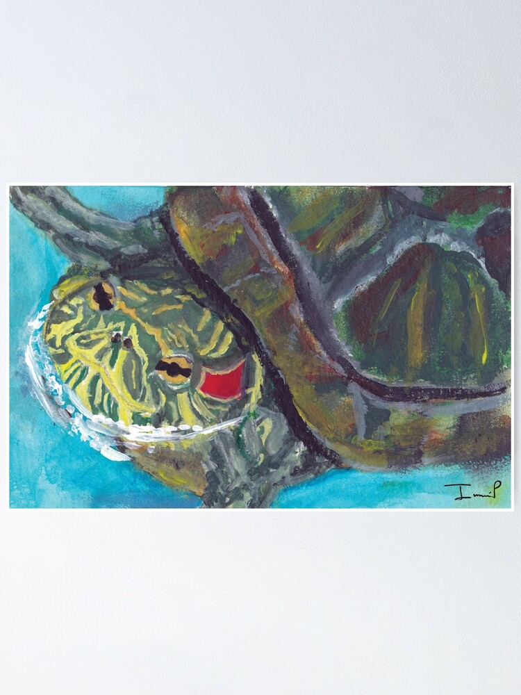 Alternate view of Red Eared Slider Poster