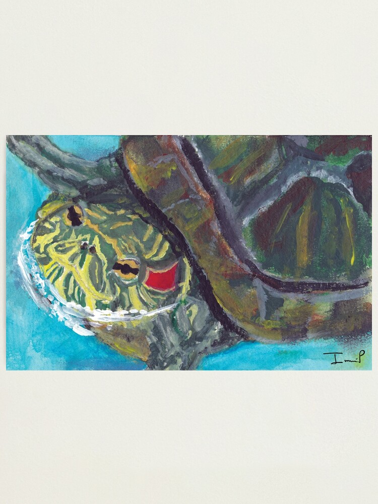 Alternate view of Red Eared Slider Photographic Print