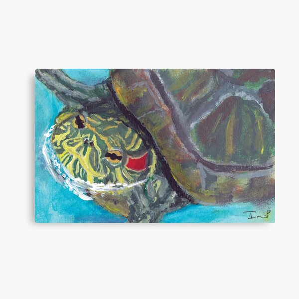 Red Eared Slider Metal Print