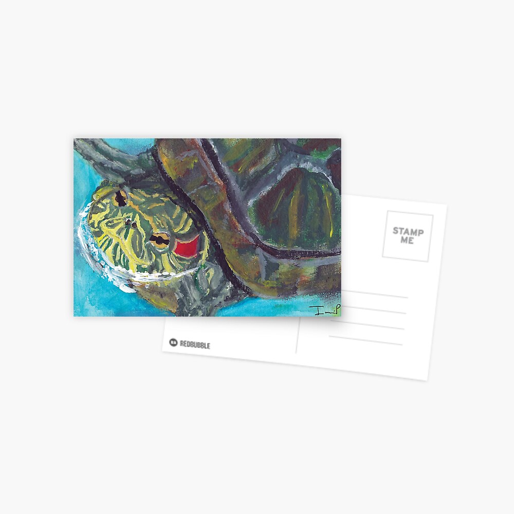 Red Eared Slider Postcard