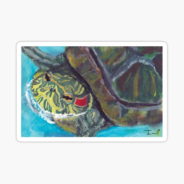 Red Eared Slider Sticker