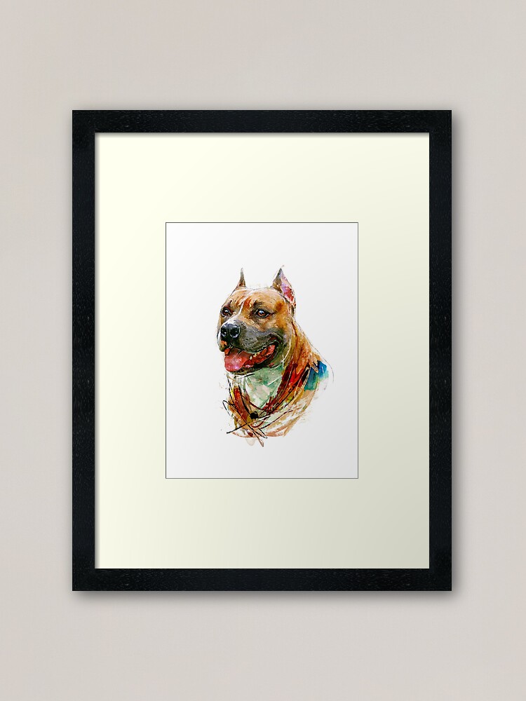 "American Staffordshire Bull Terrier Watercolour Art. " Framed Art