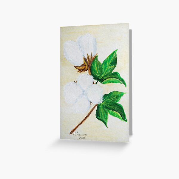 Cotton Boll Botanical Greeting Card