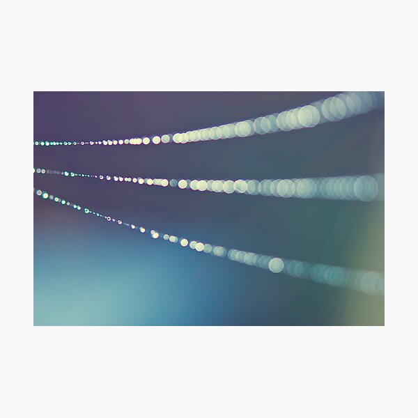 Photographic Print