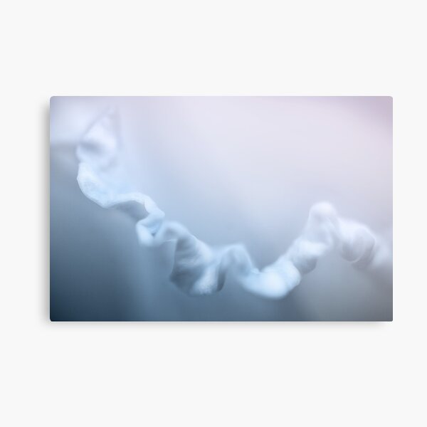 At Night When I Dream Metal Print
