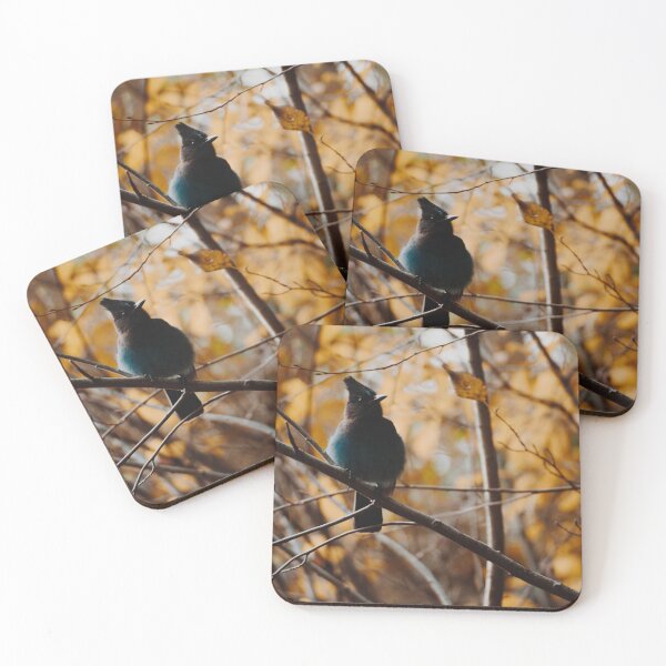 Item preview, steller's jay designed and sold by bellehibou.