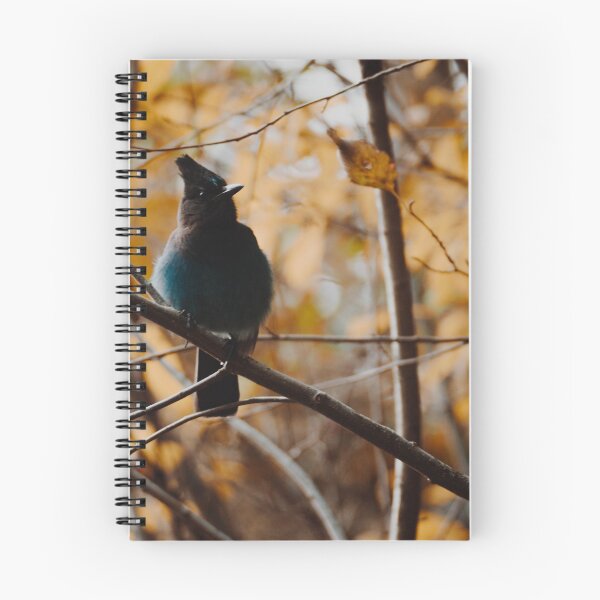 Item preview, steller's jay designed and sold by bellehibou.