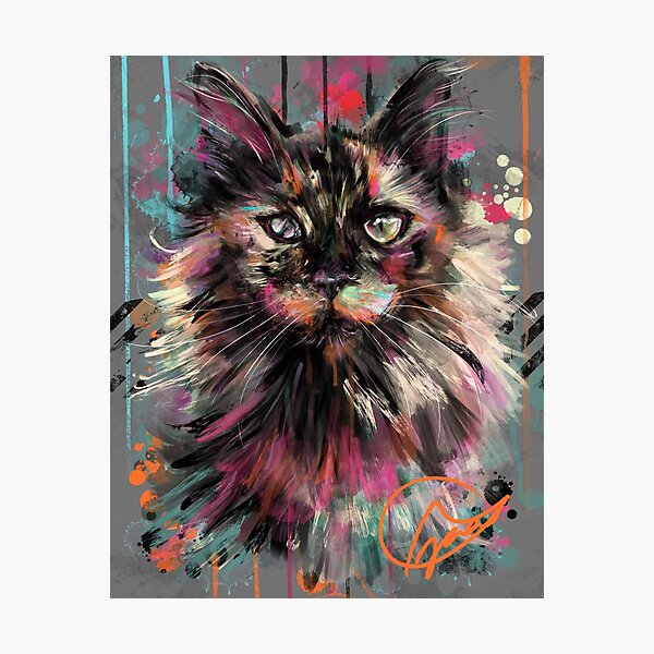 Project Caturday - Daisy Gurl Photographic Print