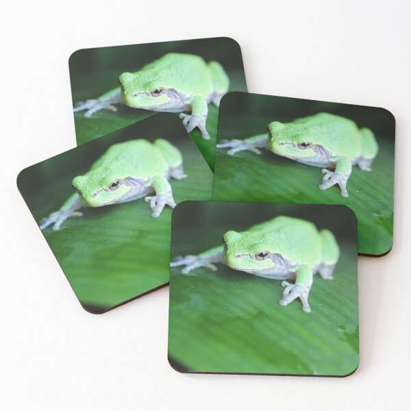 Item preview, Gray Tree Frog, original photo designed and sold by Denise Larson.
