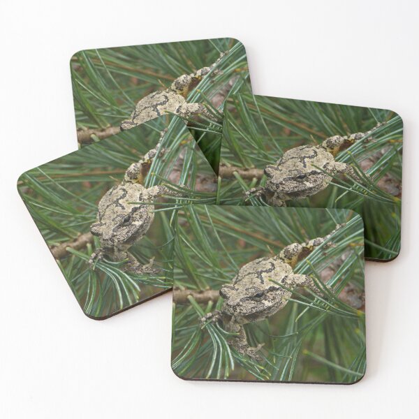 Item preview, Eastern grey tree frog designed and sold by rootedrender.