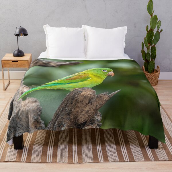 Item preview, Orange-chinned Parakeet designed and sold by TLWilsonPhoto.
