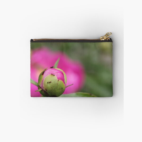 Item preview, Blooming Ants designed and sold by Autumn Seas Photography.