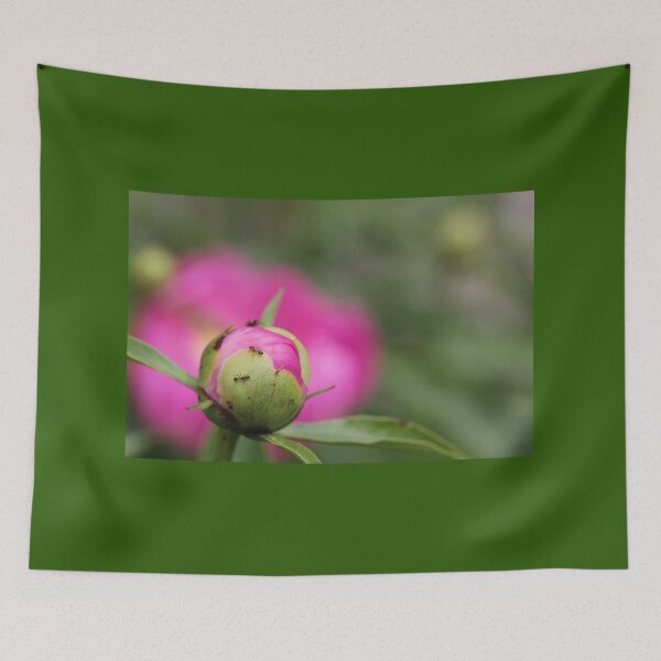 Item preview, Blooming Ants designed and sold by Autumn Seas Photography.