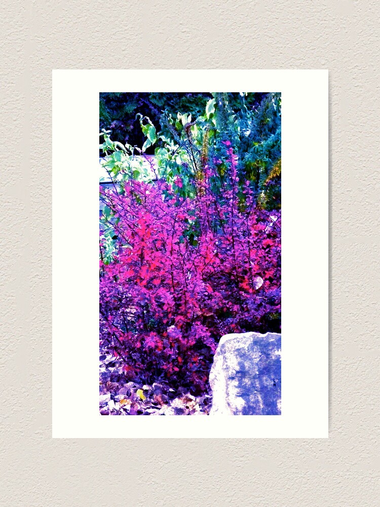 Alternate view of Man in the Stone! Art Print