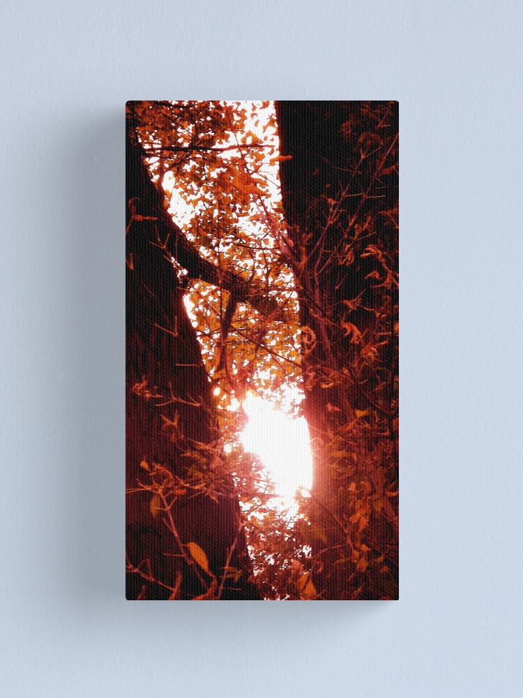 Alternate view of Radiant Rays of Hope Canvas Print
