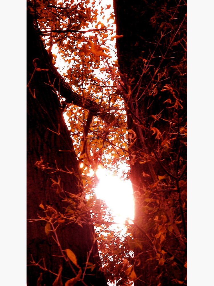 Radiant Rays of Hope by newlight