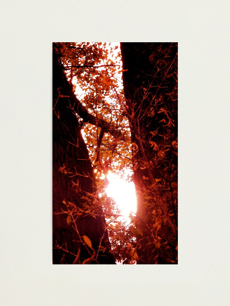 Alternate view of Radiant Rays of Hope Photographic Print