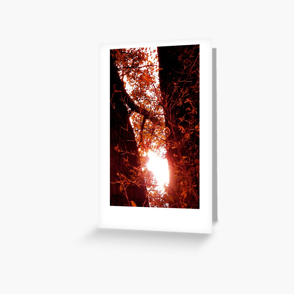 Radiant Rays of Hope Greeting Card