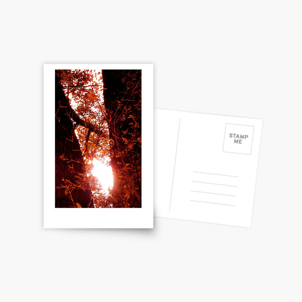 Radiant Rays of Hope Postcard
