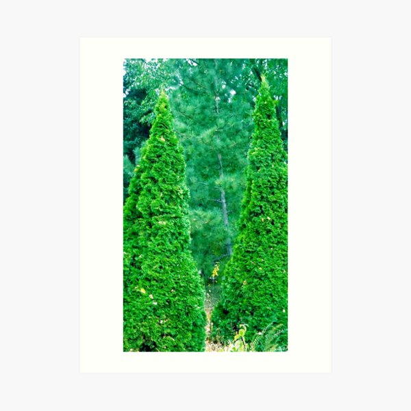 Christmas Any Day Now! Art Print