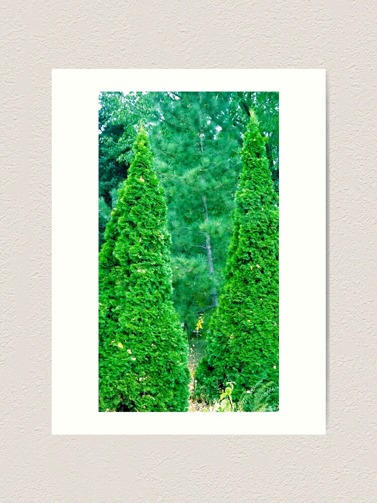 Alternate view of Christmas Any Day Now! Art Print