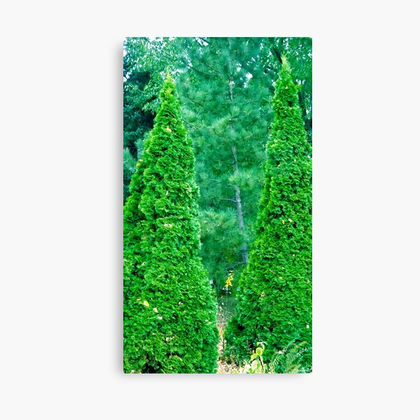 Christmas Any Day Now! Canvas Print
