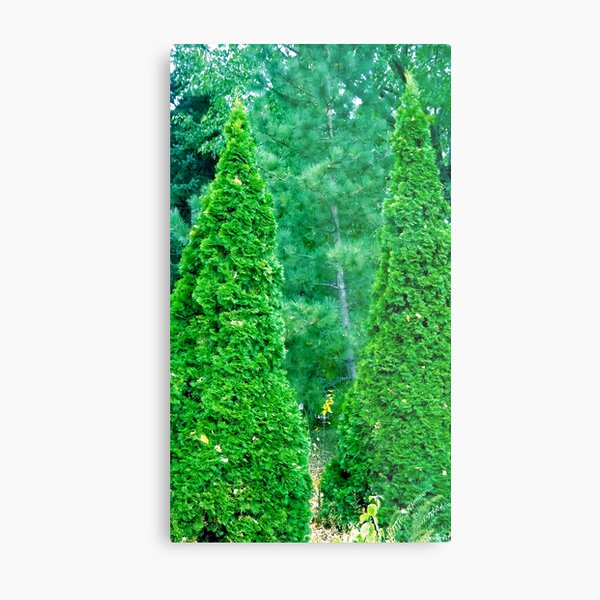 Christmas Any Day Now! Metal Print