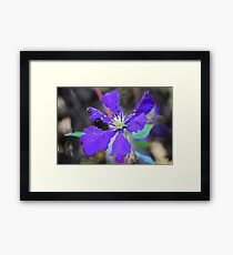 Psychedelic Framed Print