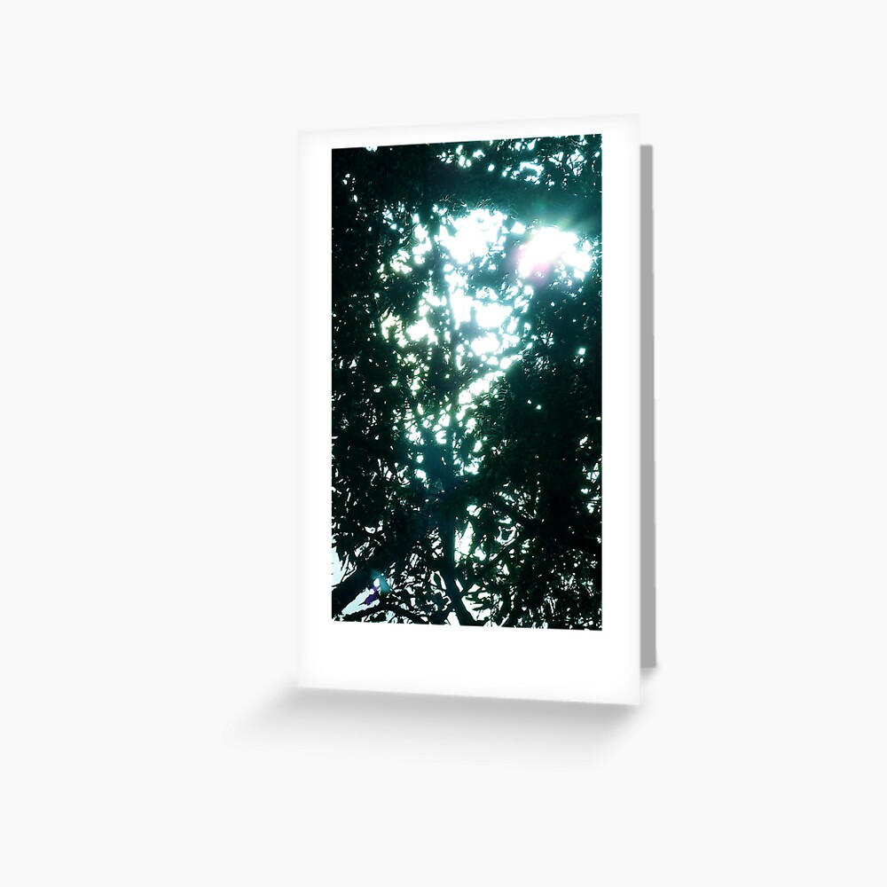 Minnesota Fall Scene Greeting Card