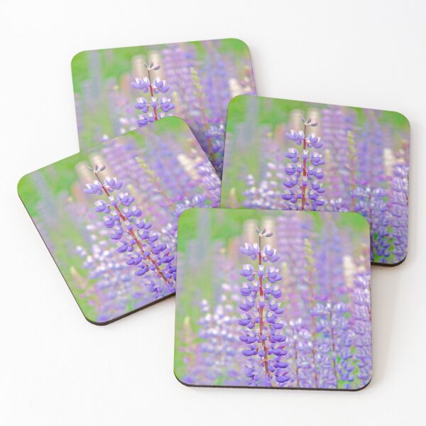 Item preview, Lupins designed and sold by Curtis Sheppard.
