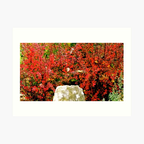 Love That Color! Art Print