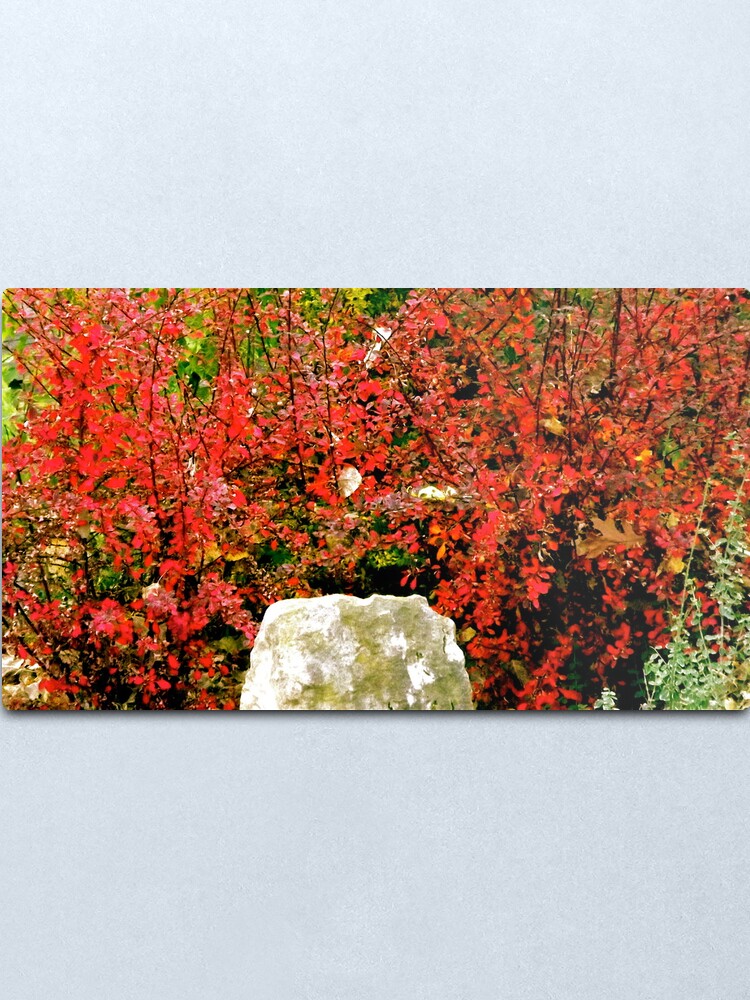 Alternate view of Love That Color! Metal Print