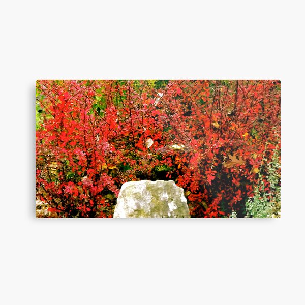 Love That Color! Metal Print