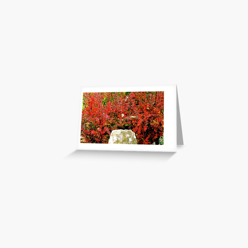 Love That Color! Greeting Card