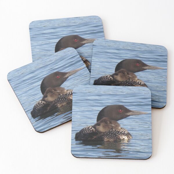 Item preview, Loon and baby, Original photograph designed and sold by Denise Larson.