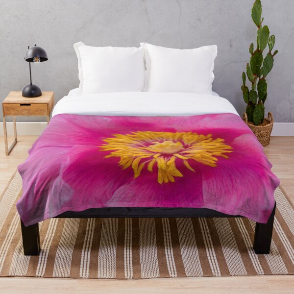 Item preview, Rosa Punch designed and sold by TLWilsonPhoto.