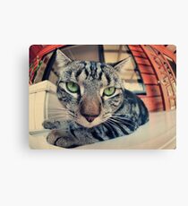 not happy Canvas Print