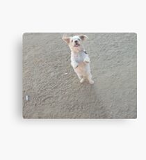 jump jump jump Metal Print