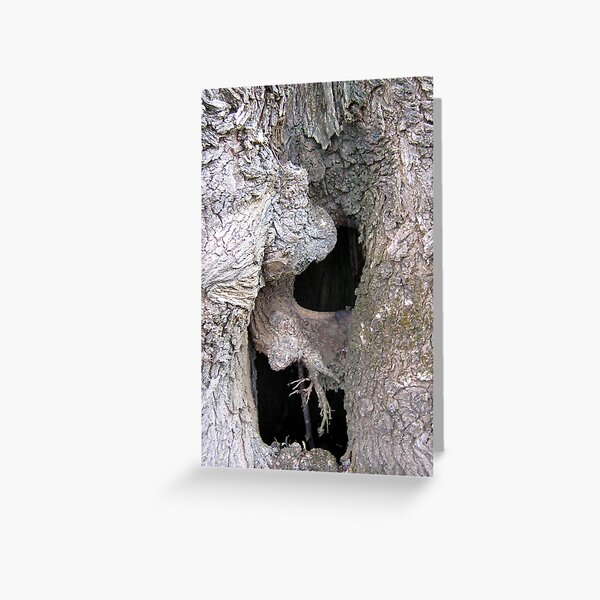 Hollow Elm - Andrew Thamo Greeting Card