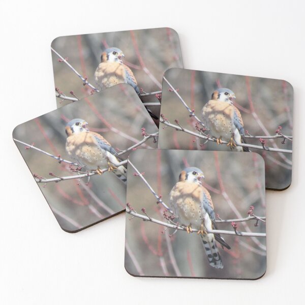 Item preview, Sparrowhawk (American Kestrel) 1 designed and sold by LJSparvero.